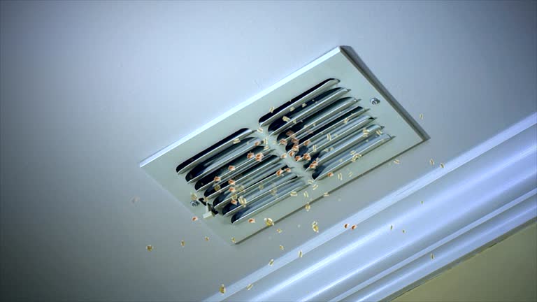 Trusted Lake Odessa, MI Airduct Cleaning Experts