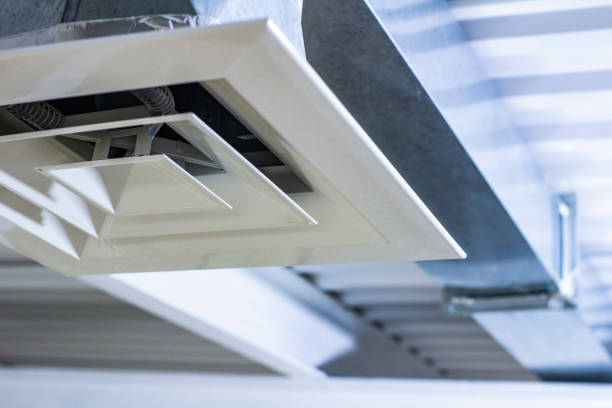 Best Local Air Duct Cleaning Services  in Lake Odessa, MI