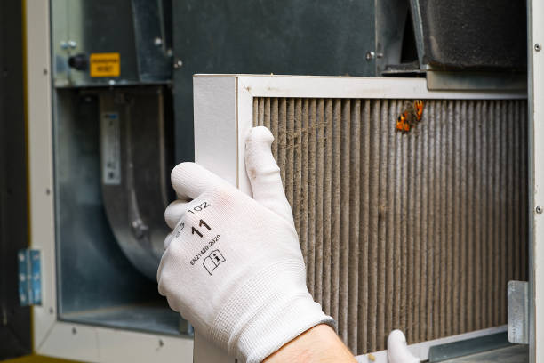 Best Affordable Air Duct Cleaning  in Lake Odessa, MI