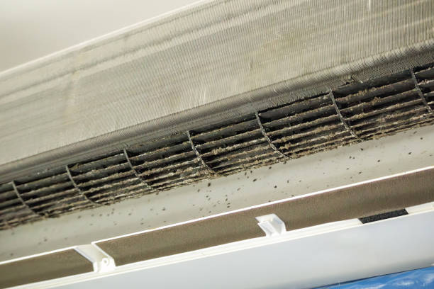 Best Local Air Duct Cleaning Services  in Lake Odessa, MI